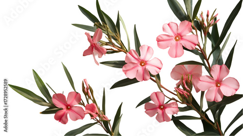 Vibrant pink ice cream splash creative dessert Isolated transparent on white background