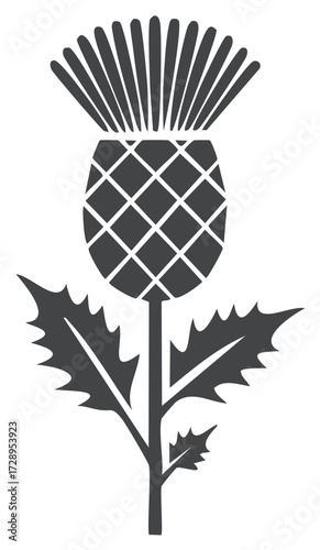 Thistle graphic vector illustration. Traditional Scottish symbol with leaves in black.