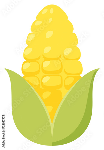Illustration of Fresh Sweet Corn on the Cob with Husk Leaves in Yellow and Green Colors Design Elements