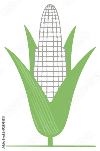 Simplified Corn on the Cob Illustration with Green Leaves