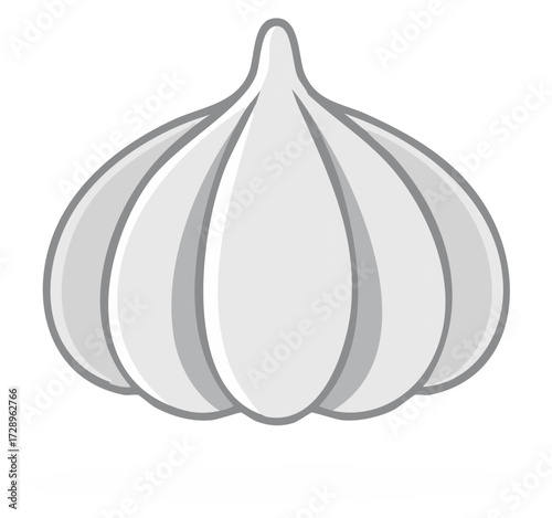 Fresh garlic bulb illustration, healthy organic food, white background