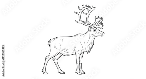 Reindeer with large antlers in line drawing style
