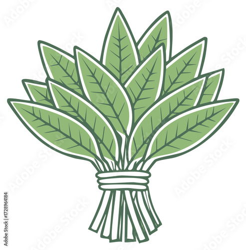 Fresh Green Herb Bunch Illustration, Aromatic Herbs Tied, Healthy Cooking Ingredient, Botanical Concept