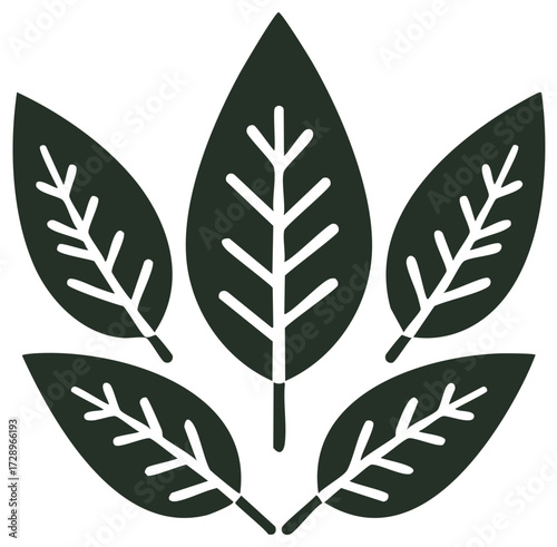 Five stylized leaves arranged in a pattern with white veins visible, symmetrical design element, graphic resource