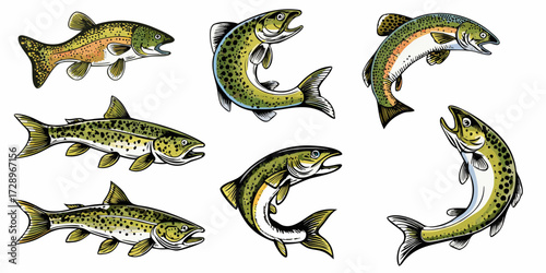Collection of six colorful trout fish illustrations in various dynamic poses on a white background
