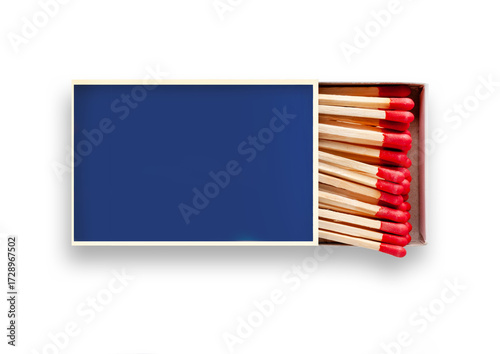 Картината върху платно matches