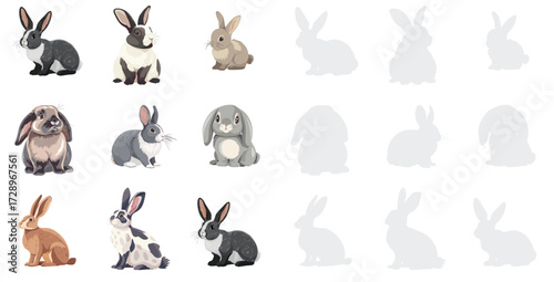 Rabbit breeds set vector illustration collection of domestic rabbits and cute bunnies, pet animals isolated on white background