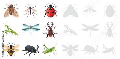 Insects set vector illustration collection of beetle, bee, mosquito, cicada, dragonfly, ladybug, grasshopper, praying mantis and bug species isolated on white background