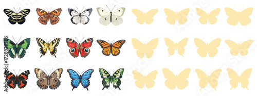Butterfly vector set illustration of colorful butterflies, tropical insects, nature wildlife collection isolated on white background