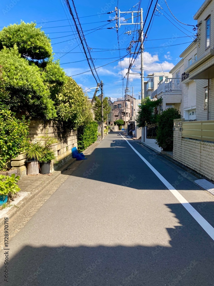 Naklejka premium 住宅街の風景 市川市真間１丁目付近