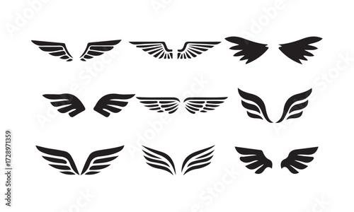 black wings badge set. Bird wings, angel wings elements. Aviation pilot patch badge. Heraldic vintage army insignia emblem falcon phoenix hawk. vector illustration eps 10