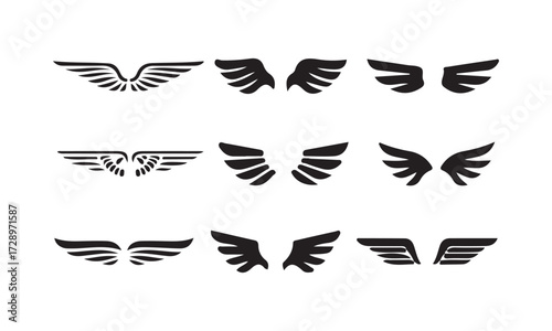 black wings badge set. Bird wings, angel wings elements. Aviation pilot patch badge. Heraldic vintage army insignia emblem falcon phoenix hawk. vector illustration eps 10