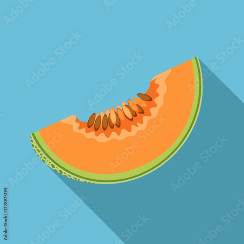 A slice of cantaloupe melon with seeds, depicted in a flat vector style against a blue background, casting a long shadow.