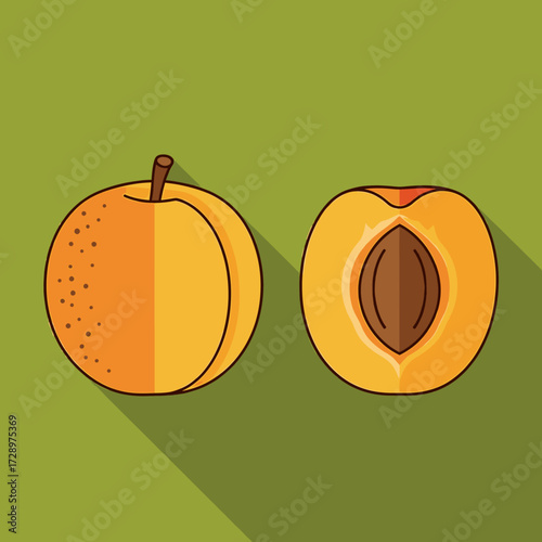 Illustration of a whole apricot and a halved apricot with a pit, set against a green background with long shadows.