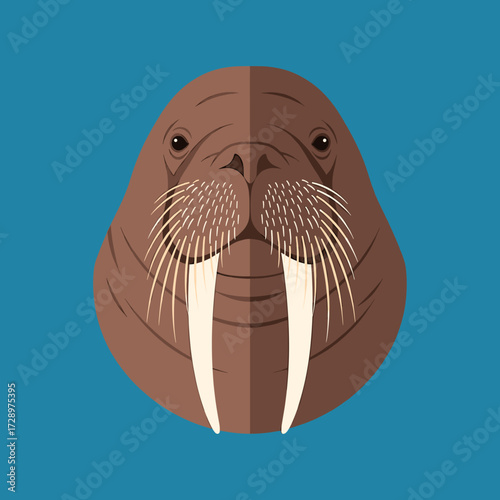 A flat vector illustration of a walrus head with prominent tusks, set against a blue background.
