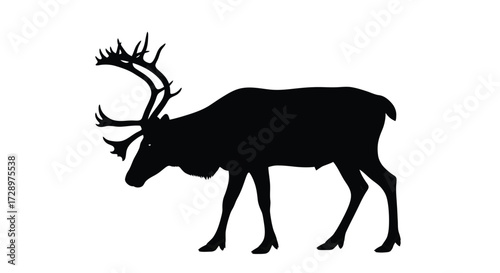 Silhouette of a reindeer with large antlers