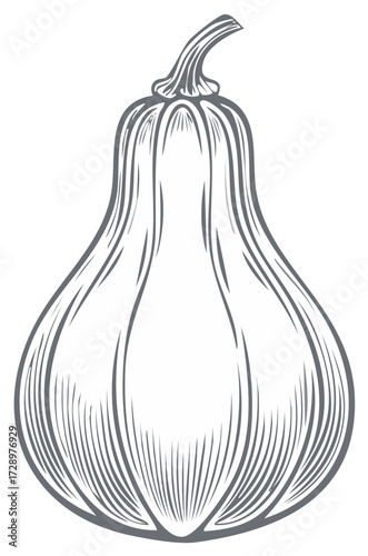 Stylized monochrome drawing of an elegant long neck gourd or winter squash produce