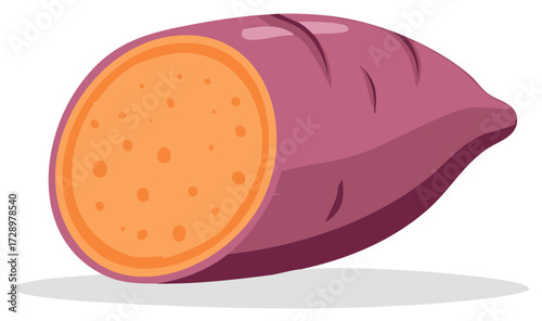 Vibrant Cut Sweet Potato Illustration Featuring Orange Flesh and Purple Skin