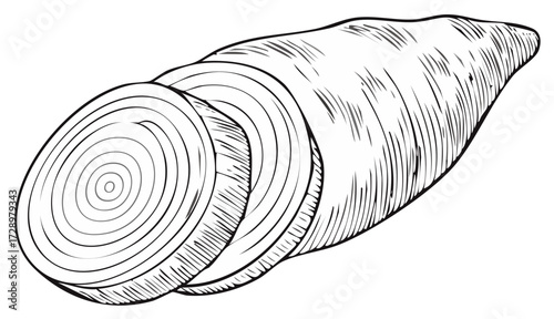 Hand-drawn sweet potato with sliced pieces, black and white illustration