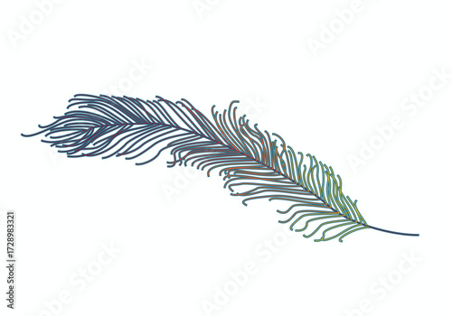 A detailed illustration of a single peacock feather isolated on white