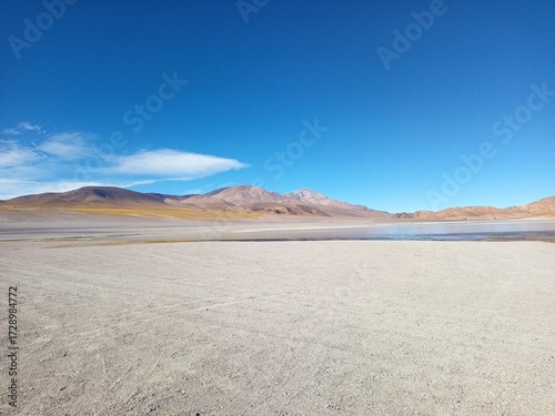 Laguna Grande y flamencos
