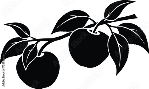 peaches on a branch silhouette vector illustration
