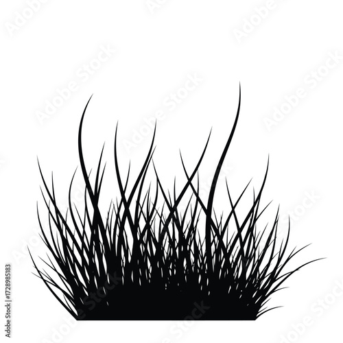 Vector illustration of silhouette of a clump of grass