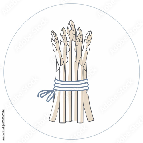 Graphic Illustration of a Bundle of Fresh Asparagus Tied with String, Round Background