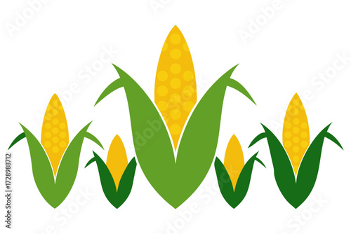 Stylized corn cobs with green husks on white background