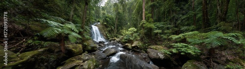 Stunning waterfall in lush rainforest hdr panorama 360-degree view nature beauty