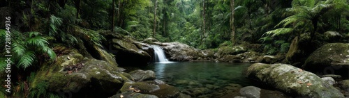 Lush rainforest waterfall exported hdri panoramic view tropical jungle nature scene