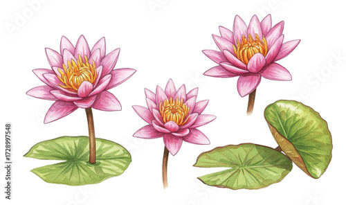Adobe Illustrator Artwork