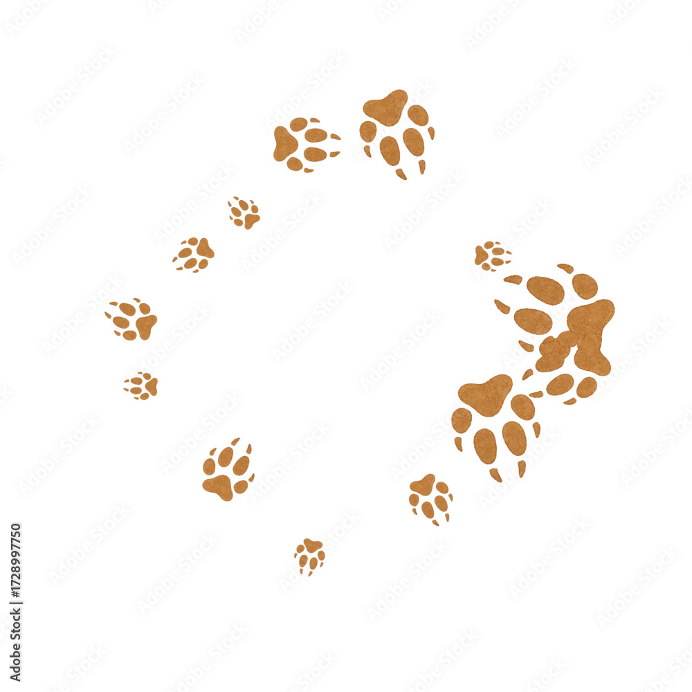 Fototapeta premium Adobe Illustrator Artwork