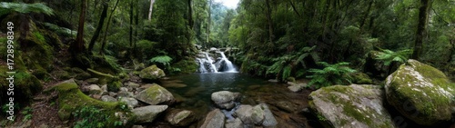 Lush rainforest waterfall in hdr panoramic view exported 360-degree experience