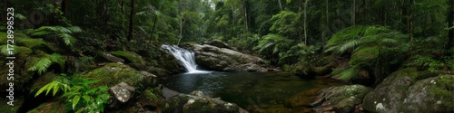 Lush rainforest waterfall nature scene hdr panorama serene environment 360-degree viewpoint