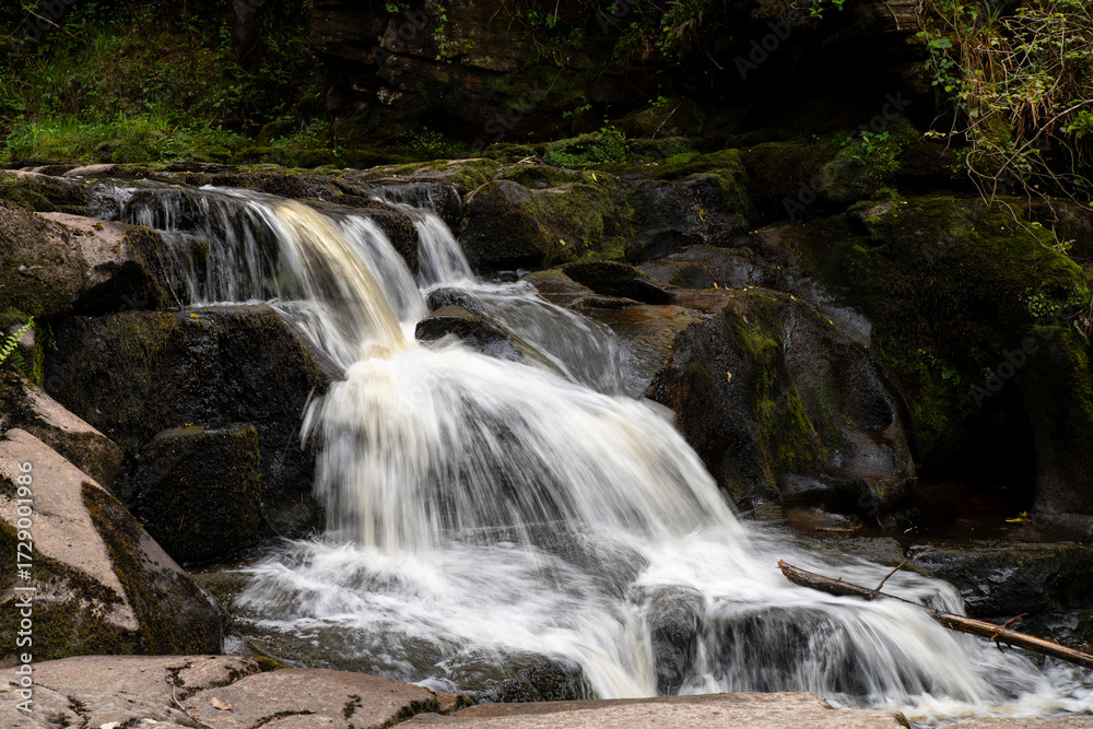 Fototapeta premium waterfall of a rapid forest river
