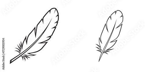 Stylized Black and White Feather Line Art