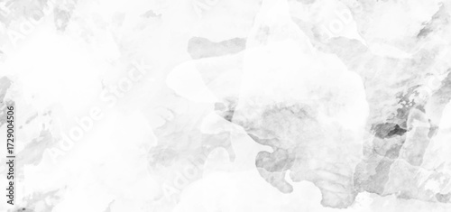 Wallpaper Mural Abstract gray grunge background with dust particles and rough texture, white concrete wall surface, distressed gray floor design, vintage industrial backdrop for modern templates Torontodigital.ca