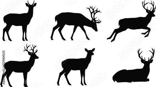 Silhouette of Deer Collection, Various Poses and Antlers, Wildlife Vector Set, Black Silhouettes on White Background, Nature Animals, Hunting Elements, 