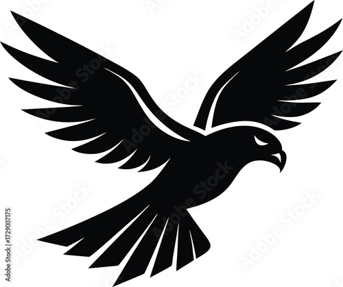Majestic soaring hawk silhouette with wings spread