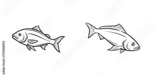 Pair of Stylized Fish Line Art Illustrations