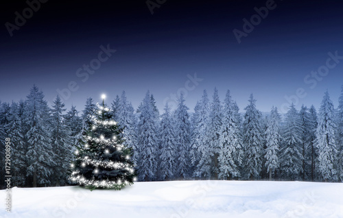 Winterliche Weihnachtsstimmung mit Schnee und Weihnachtsbaum