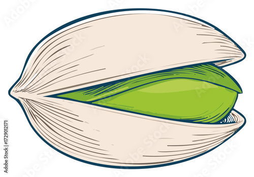 A hand-drawn style illustration showcasing a single open pistachio nut, presenting the green seed within