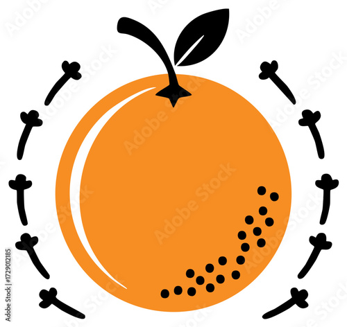 Orange Fruit Surrounded by Black Cloves Still Life Flat Design Vector