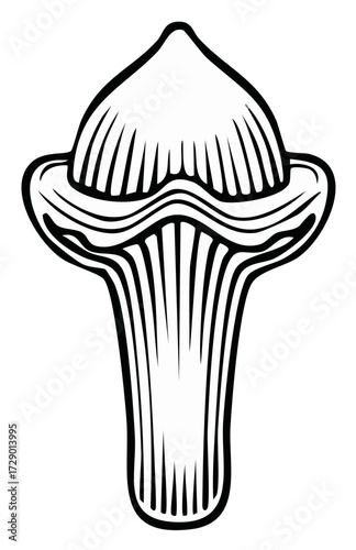 Aromatic whole clove spice in a detailed black and white vintage woodcut illustration style