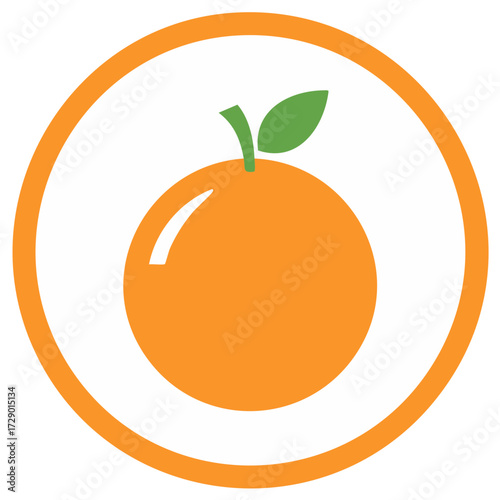 Orange fruit illustration inside a circle in flat design. Healthy organic food.