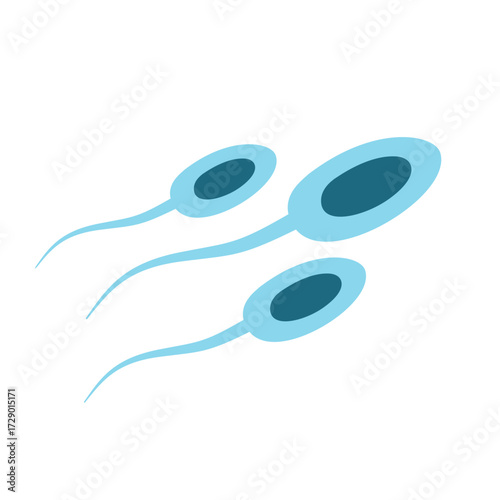 Illustration of Sperm Cells