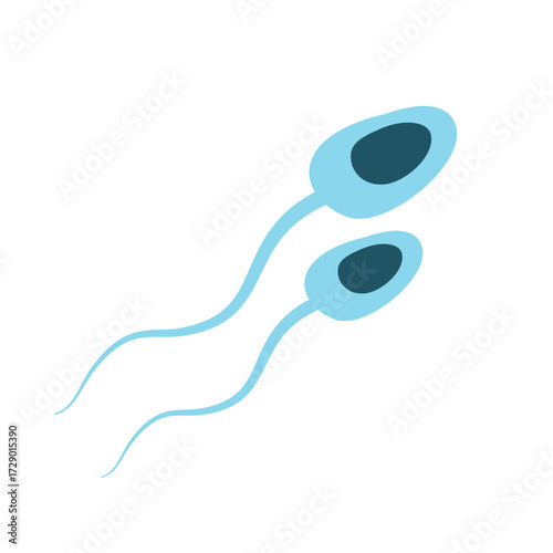 Illustration of Sperm Cells