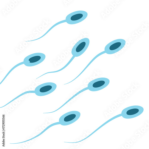 Illustration of Sperm Cells