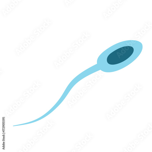 Illustration of Sperm Cells